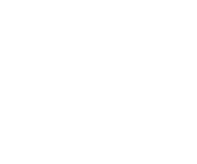 Fortis Immo